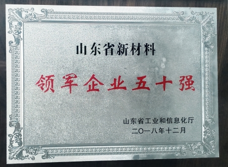 山東省新材料領(lǐng)軍企業(yè)五十強